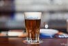 Timmermans Faro draft
