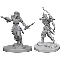 Elf Female Ranger / Эльфийки-рейнджеры