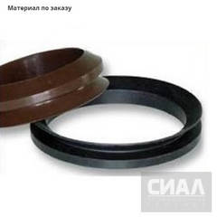 Ротационное уплотнение V-ring 10