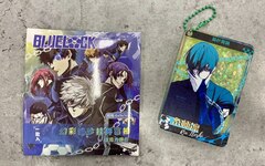 Случайный акриловый брелок Blue Lock