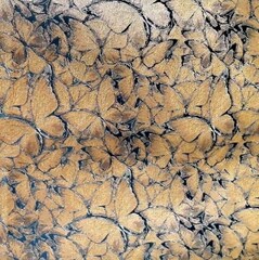 Жаккард Butterfly (Батерфляй) 7577А1 06