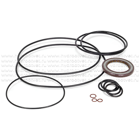 Фото A2FO125 SEAL KIT - Комплект уплотнений (с манжетой 50x72x7 мм) для гидронасоса/гидромотора Rexroth A2FO125, A2FM125, A2FE125