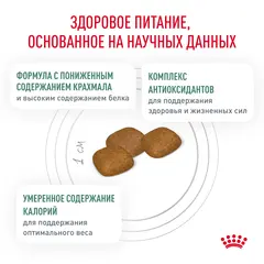 Royal Canin Diabetic DS37 12 кг