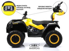 Квадроцикл T001TT 4WD с пультом (Полноприводный)