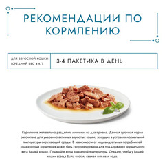 Gourmet Перл консервы для взрослых кошек с индейкой в соусе 75 г