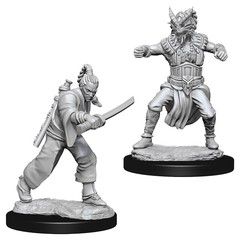D&D Nolzur's Marvelous Miniatures - Male Human Monk
