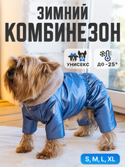 Royal Dog зимний костюм Мажор M