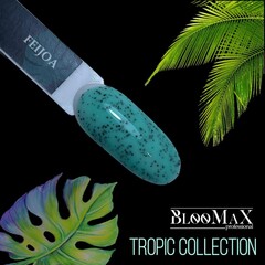 Гель лак BlooMaX FeiJoa, 8мл