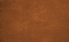 Велюр Барс 16