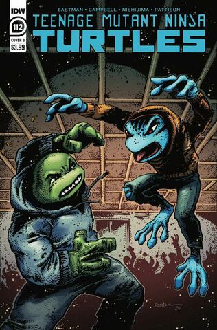 Teenage Mutant Ninja Turtles Vol 5 #112 (Cover B)