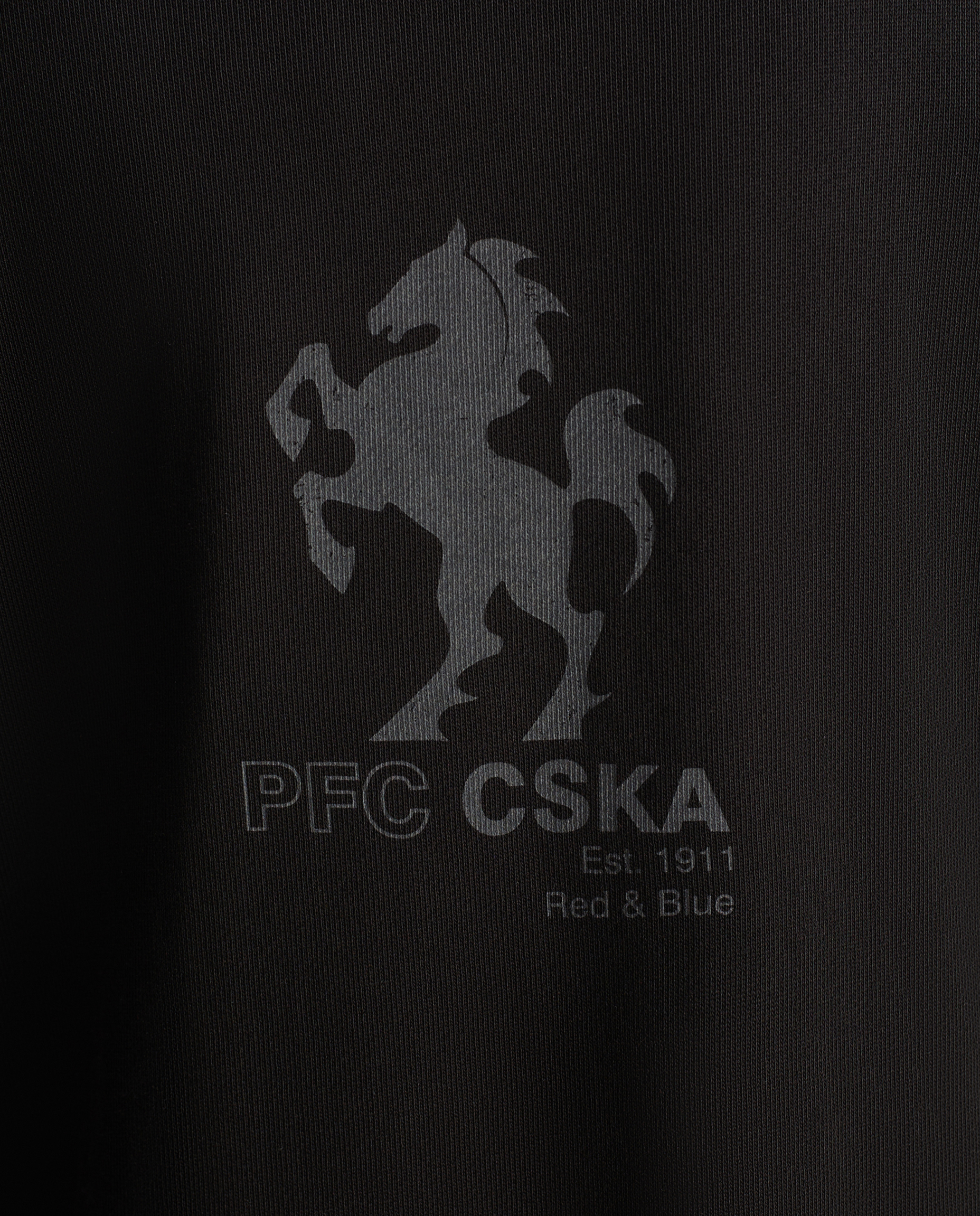 Толстовка на молнии с капюшоном CSKAxUrban Tiger
