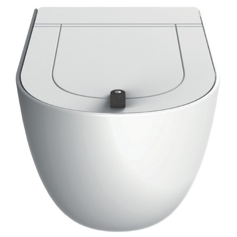 ArtCeram The One THV001 05 00 BIANCO MATT Унитаз подвесной, цвет: белый