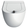 ArtCeram The One THV001 05 00 BIANCO MATT Унитаз подвесной, цвет: белый