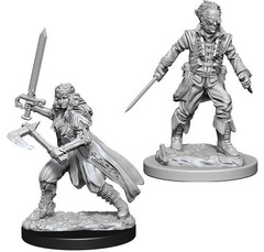 D&D Nolzur's Marvelous Miniatures - Vampire Hunters