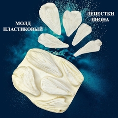 Молд для творчества пластиковый 