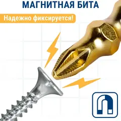 Бита отверточная ПРАКТИКА Эксперт двусторонняя PH-2 / PZ-2 х 65мм Tin, (037-138)