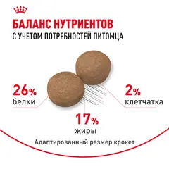 Royal Canin Maxi Adult Сухой корм для собак крупных пород 20 кг