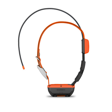 GPS-ошейник для собак Garmin Alpha T20