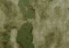 Ткань Оксфорд 210D PU 1000 135 гр/м.п, мох