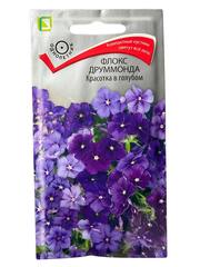 Флокс друммонда Красотка в голубом (Поиск)