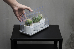Лоток для выращивания растений micro green house, прозрачный
