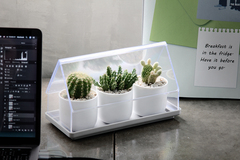 Лоток для выращивания растений micro green house, прозрачный