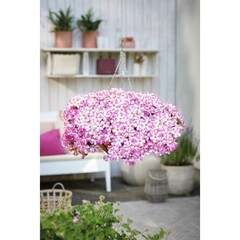 32271 Петуния PEPPY PINK (SMARTUNIA WINDMILL PINK) (ОСЕНЬ 2025)