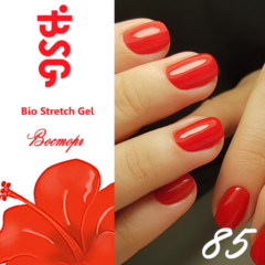BSG №85 Восторг BSG №85 Восторг