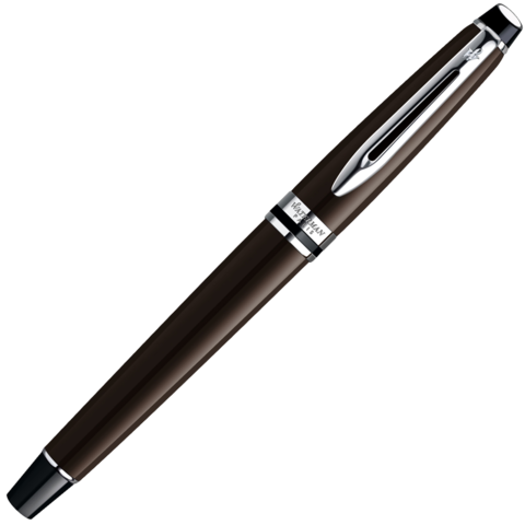 Ручка перьевая Waterman Expert Brown CT, F (S0952220)