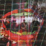 ANIMAL COLLECTIVE:  Centipede Hz
