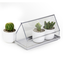 Лоток для выращивания растений micro green house, прозрачный