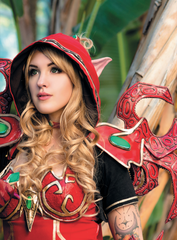 Blizzard Косплей. Секреты мастерства (Б/У)