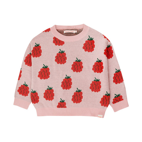 Джемпер Tinycottons Raspberries Pink