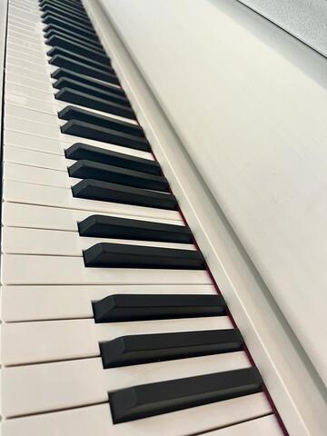 CASIO GP310