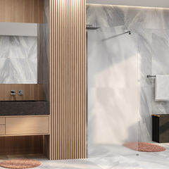 WasserKRAFT Rur 30W44BN-MG Душевое ограждение фото