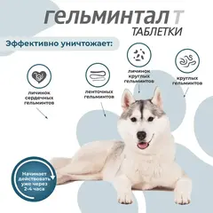 Экопром гельминтал таблетки от гельминтов для собак от 10 кг
