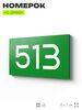 Номер на дверь 513, табличка на дверь для офиса, квартиры, кабинета, аудитории, склада, зеленая 120х70 мм, Айдентика Технолоджи
