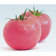Семена Томат Мей Шуай F1 (Seminis), 5 сем