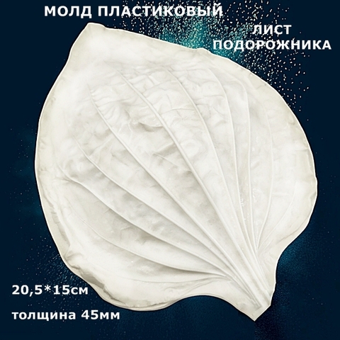 Молд для творчества пластиковый 