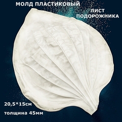 Молд для творчества пластиковый 