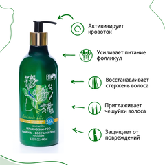 Bio World Botanic Life Шампунь-восстановление 