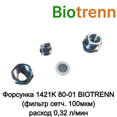 Форсунка 1421K 80-01 BIOTRENN (фильтр сетч. 100мкм) N90100ST