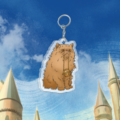 Акриловый брелок "Harry Potter: Crookshanks"