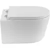 BelBagno BB007CH-TOR/SC Унитаз подвесной безободковый со смывом "Торнадо", с сиденьем дюропласт soft close