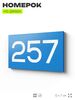 Номер на дверь 257, табличка на дверь для офиса, квартиры, кабинета, аудитории, склада, голубая 120х70 мм, Айдентика Технолоджи