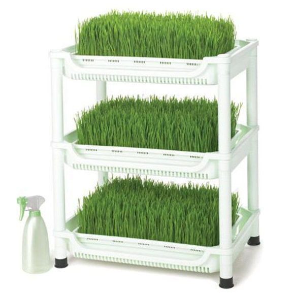 Проращиватели Проращиватель Tribest Wheatgrass Grower Set SM-350 Проращиватель_Tribest_Wheatgrass_Grower_Set_SM-350.jpg