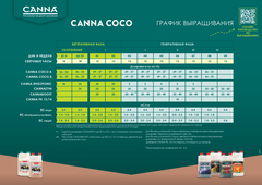 Canna Rhizotonic