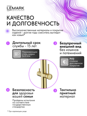 Смеситель Lemark Зенит Zenith LMF-1676S-BRGN для кухни с гибким изливом, с подключением к фильтру питьевой воды