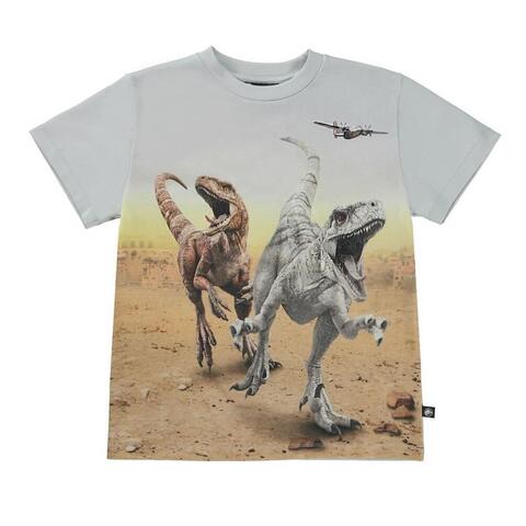 Футболка Molo Roxo Dinos Galore