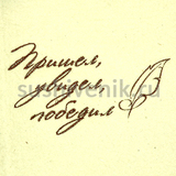 Комплект Шикарный мужчина (2 предмета) - 3